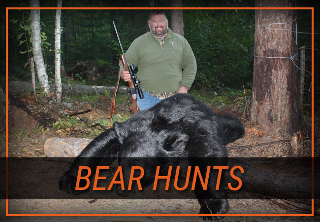 Bear Hunts with Rainy Lake Outfitters Inc.
