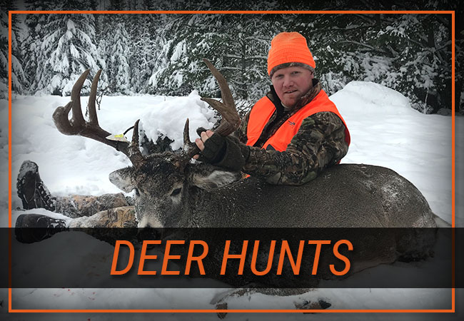 Deer Hunts with Rainy Lake Outfitters Inc.