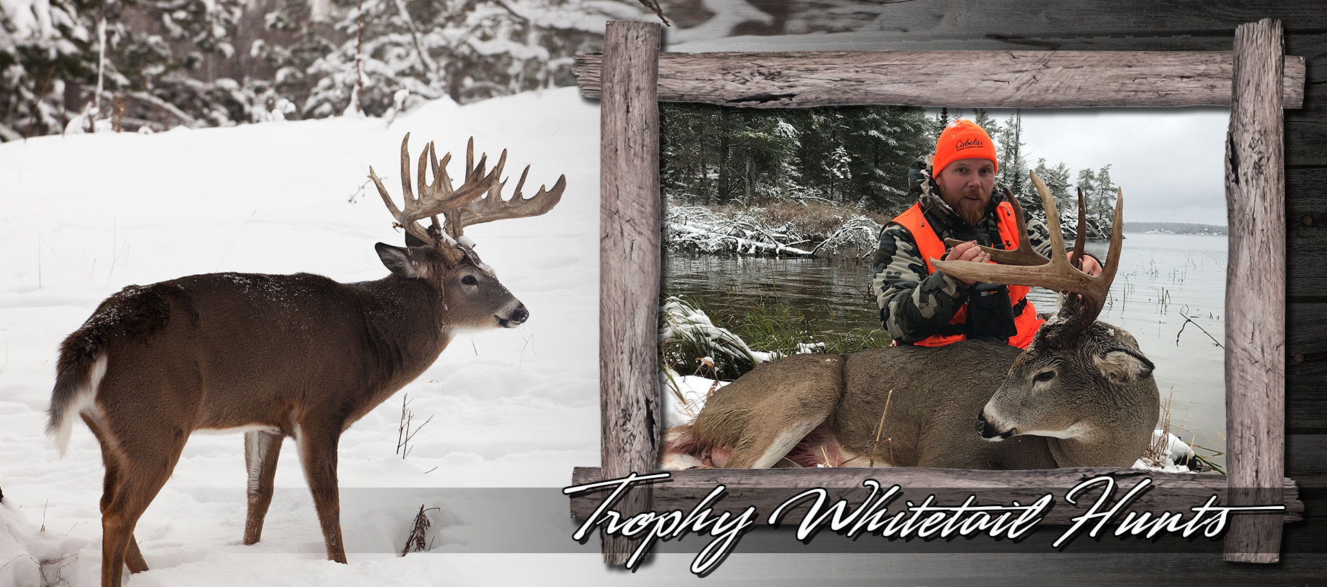 ontario-whitetail-deer-hunting.jpg