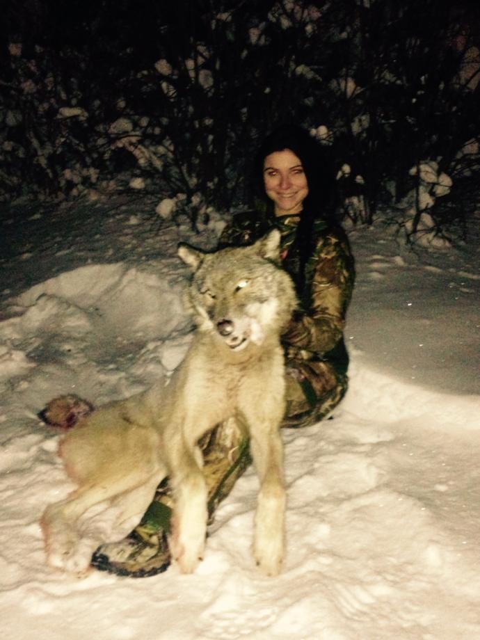 Wolf Hunts Photo