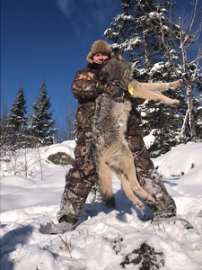 Wolf Hunting