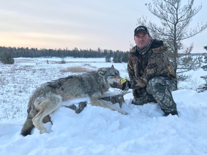 Wolf Hunting