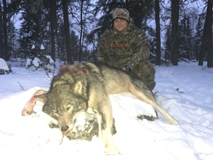 wolf hunt 