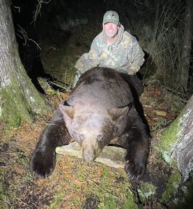 Bear Hunt 