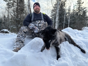 Black Wolf 