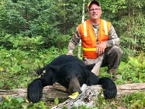 Bear Hunts