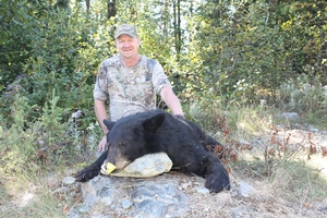 Bear Hunts