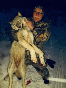 wolf hunting 