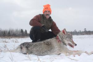 Wolf Hunts
